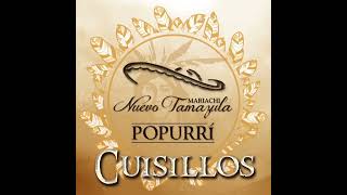 Popurri De Cuisillos-Mariachi Nuevo Tamazula