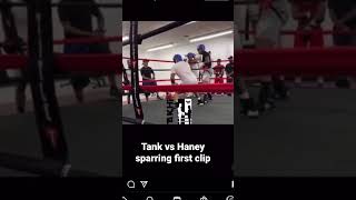 Gervonta Davis vs Devin Haney sparring session short clip . *OFFICIAL NO CLICK BAIT* subscribe