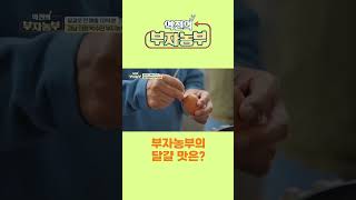 [역전의부자농부 224회]  부자농부의 달걀 맛은?