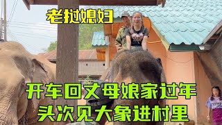 带老挝媳妇回娘家过年，第一次见大象进村：特地为我请的？