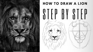 Easy Step by Step Guide for Drawing a Realistic Lion