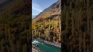 📍kargil Autumn #youtubeshorts #trendingmusic #autumnkargil #shorts #youtube #kargil #trav #trending