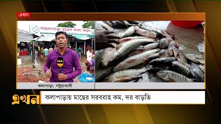 কলাপাড়ায় মাছের সরবরাহ কম, দাম বাড়তি | Patuakhali News | Fish Market | Ekhon TV