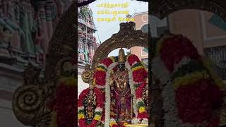 சாரதி ஏகாதசி திருவீதி உலா 🙇‍♀️