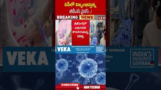 ఏపీలో విజృంభిస్తున్న జీబీఎస్ వైరస్..! #gbsvirus #appeople #gbsvirusinap #ytshorts #abn