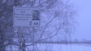 Finding of the Boleslaw Prus`s Oak. Mashiv near Luboml. Volyn, Ukraina, Europe.