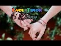 LAGU TIMOR TERBAIK || DOMY || MTG