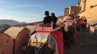 Elephant ride in Amber Palace, Jaipur, India　ジャイプール、アンベール城の坂を登る象タクシー