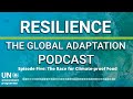 The Race for Climate-proof Food | Resilience: The Global Adaptation Podcast (Ep.5)