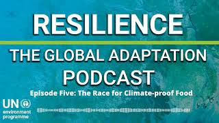 The Race for Climate-proof Food | Resilience: The Global Adaptation Podcast (Ep.5)