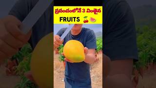 ప్రపంచంలోనే 3 వింతైన FRUITS చూడండి 😳| intresting facts in telugu| #shorts #facts