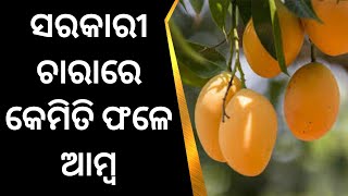 Nuapada News | ନୂଆପଡା ଜିଲ୍ଲାରେ କୋଟି କୋଟି ଟଙ୍କା ଖର୍ଚ୍ଚ | Odia News