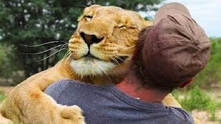 Animals Hugging People || Animals Hugging Humans || best video must watch