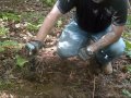 field health digging a slit trench.wmv