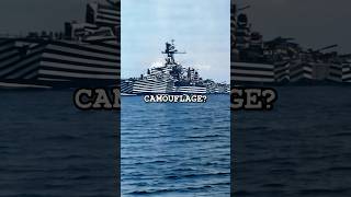 What is this Navy Dazzle Camouflage