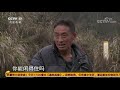 《攻坚日记》 20200711 徐生金筑梦记（4） cctv农业