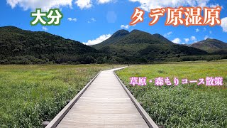 タデ原湿原　草原・森もりコース散策