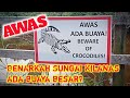 Benarkah Sungai Kilanas ada buaya besar?