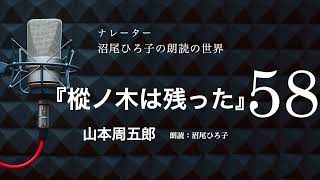 【朗読】山本周五郎『樅ノ木は残った』［58］ 朗読：沼尾ひろ子