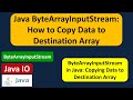 Java ByteArrayInputStream: How to Copy Data to Destination Array | Java IO | Java Tutorial
