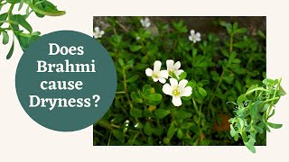 Best Medicine Forms of Brahmi (Bacopa) for Vata Dosha