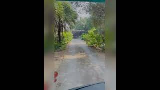 Nehru Zoological Park| safari ride#This is Why Zoo park safari ride is Going Viral# Hyderabad