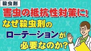 必見！なぜ殺虫剤のローテーションが必要なのかご説明します！効率的、効果的に害虫を防除しましょう！！