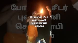 போகரின் சீடர் புலி பாணி சொர்ணாபிஷேகம்