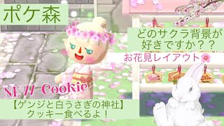 【ポケ森】《ゲンジと白うさぎの神社》クッキーでお花見レイアウト🌸するけど、お花見ってどういうのですか？