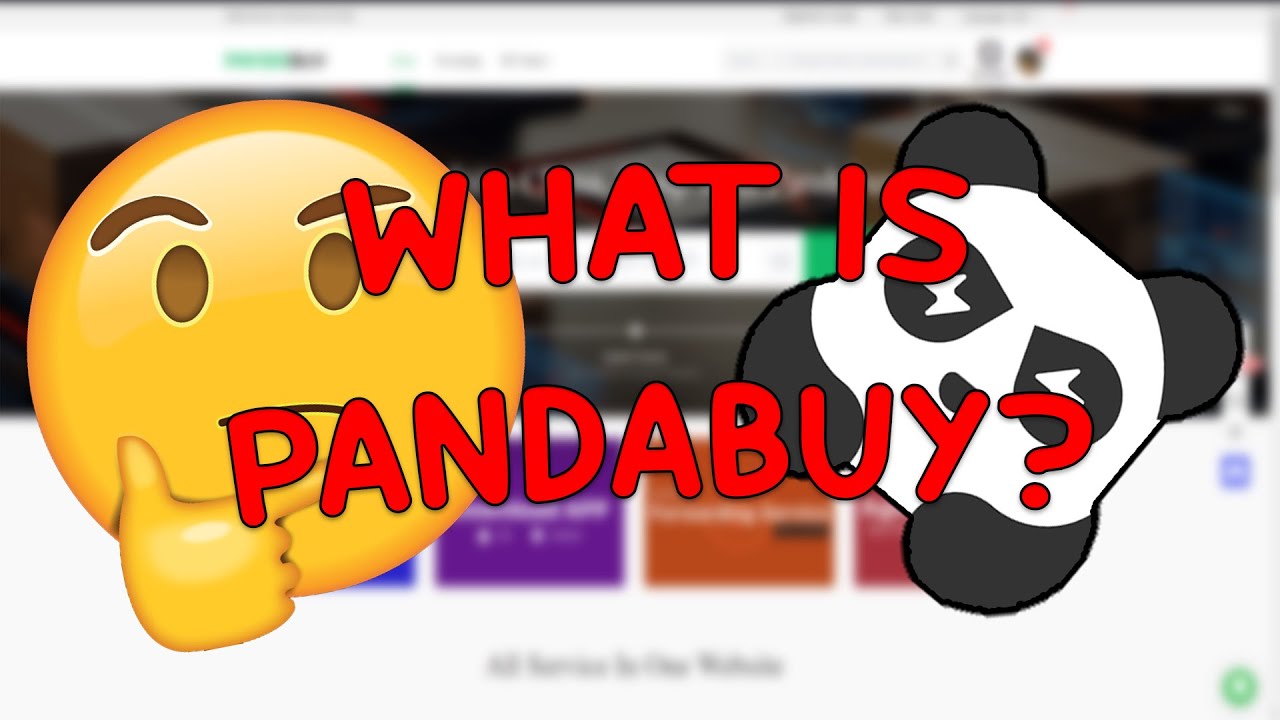 WHAT IS PANDABUY? (IT'S NOT WHAT YOU THINK) - YouTube