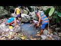 catching shrimp hipong gubat o pang uyang catch n cook