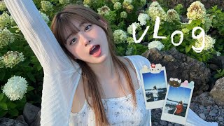 분명히 감성 브이로그임 제주VLOG 🍊🌿🌤️🍵