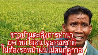 ชาวบ้านตะลึงเห็นการทำนายุคใหม่ท้าทายธรรมชาติไม่ต้องรอหน้าฝนไม่ต้องสนฤดูกาล