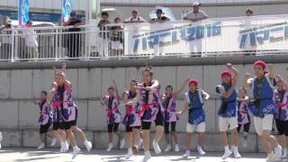 横浜創英中・高校ダンス部①＠2016　ハマこい