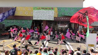 「神 ～JiN～」鳴海ここよい祭り2018【本町ステージ】