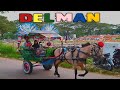 🔵 NAIK DELMAN ~ LAGU ANAK INDONESIA ~ NAIK DELMAN ISTIMEWA ~ LAGU ANAK TER POPULER