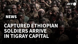 Ethiopian soldiers captured by Tigray Defence Forces arrive in Mekele | AFP