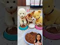 doggy ngambek funny shortvideo