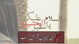 9 Zilhaj Shahadat Muslim Bin Aqeel whatsap Status Noha 2020 || Nadeem Sarwer ||