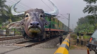 Dangerous Buffalo Headed Puri - Kamakhya Express Furious Moving Throughout at Railgate