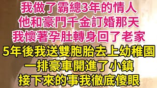 我做了霸總3年的情人，他和豪門千金訂婚那天，我懷著孕肚轉身回了老家。5年後我送雙胞胎去上幼稚園，一排豪車開進了小鎮，接下來的事我徹底傻眼！| 琉璃故事匯 | 書屋 | 說書人