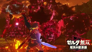 怨念の渦 ベリーハード タイムアタック 2:16【ゼルダ無双 厄災の黙示録】【Hyrule Warriors】