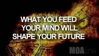 FEED YOUR MIND WITH SUCCESS