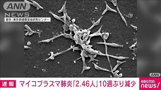 【速報】マイコプラズマ肺炎の全国患者数「2.46人」に 過去最多から減少もほぼ横ばい(2024年11月12日)