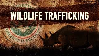 Help make wildlife traffickers an endangered species.