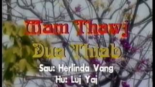 Mam Thawj Dua Thiab by Luj Yaj