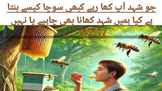 honey bee shahad kaise banate hain |shehad ki makhi shahad kaise banati hai