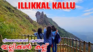 ILLIKKAL KALLU |  നീലക്കൊടുവേലി പൂക്കുന്ന ഇല്ലിക്കൽ കല്ല് | Trekking to Illikkal Kallu | Kottayam