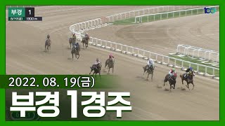 (부산)'22.8.19.1R 시종일관 두 마리 싸움, 착순변경 금아우노 울고 메인브리지 웃다!