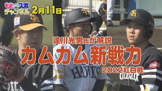 ホークスキャンプ★達川元ヘッドがみた新戦力！ズバリ解説【配信限定】（2022/2/11）